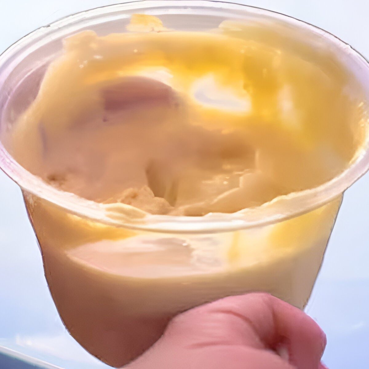 Mango Ice Cream.